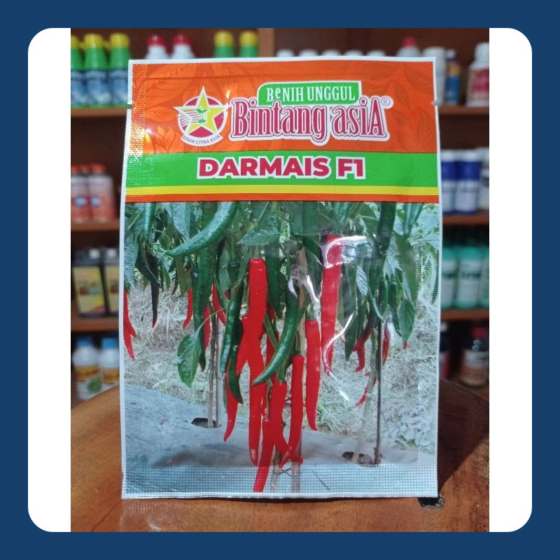 DARMAIS F1 (10grm) Benih cabai besar EXP:190826