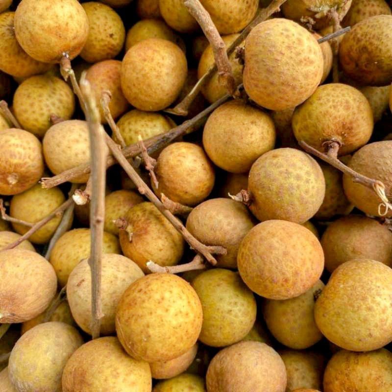 

buah lengkeng pasar online makassar