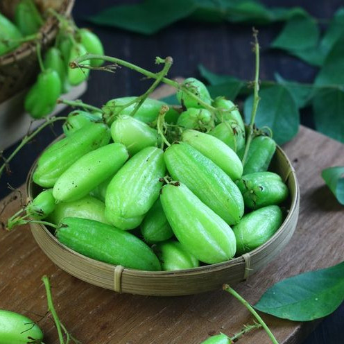 

Belimbing Wuluh – Asam dan Segar, Ideal untuk Masakan Pedas