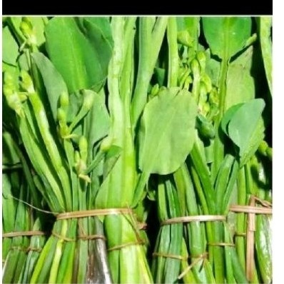 

Daun genjer sama bunganya sgar 500 gr