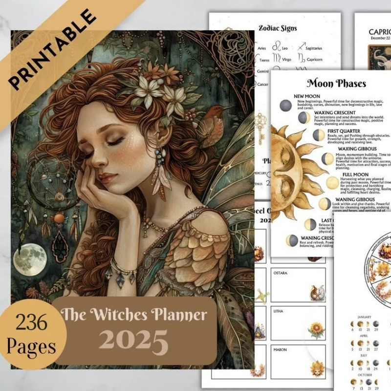 

2025 New Witch Planner New Year Calendar Notebook A5, Creative Astrology Tarot Cards Financial Fortune Plan Notebook