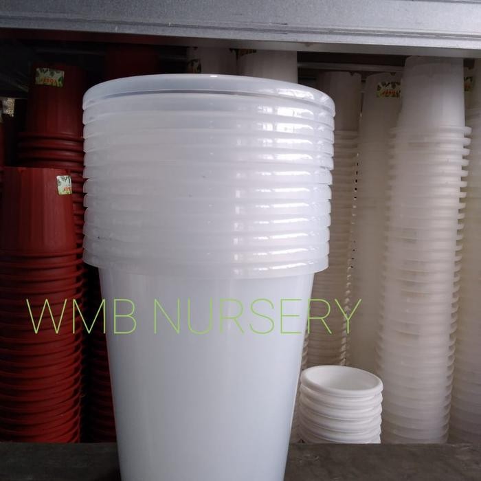 Pot NKT tower 21 bening/transparan. LOSINAN