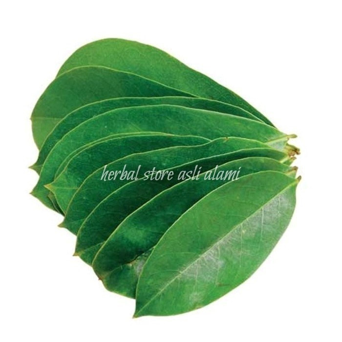 

(500gram) Daun Sirsak Organik Langsung Petik - S Herbal