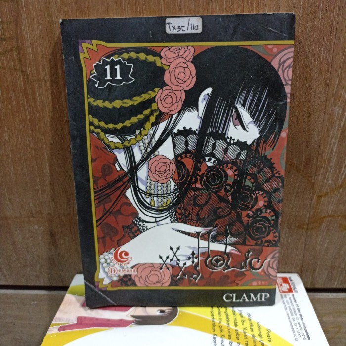 Komik Holic jilid 11