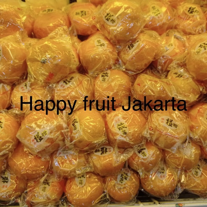 

Jeruk mandarin ponkam fresh |Jeruk ponkam super | jeruk banyak air 1kg