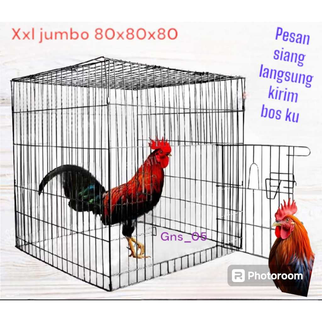 BOL94 Sangkar Kandang Besi Kotak Kurungan Ayam Jago Laga Aduan Petarung Kurungan Ayam Galvanis Kotak