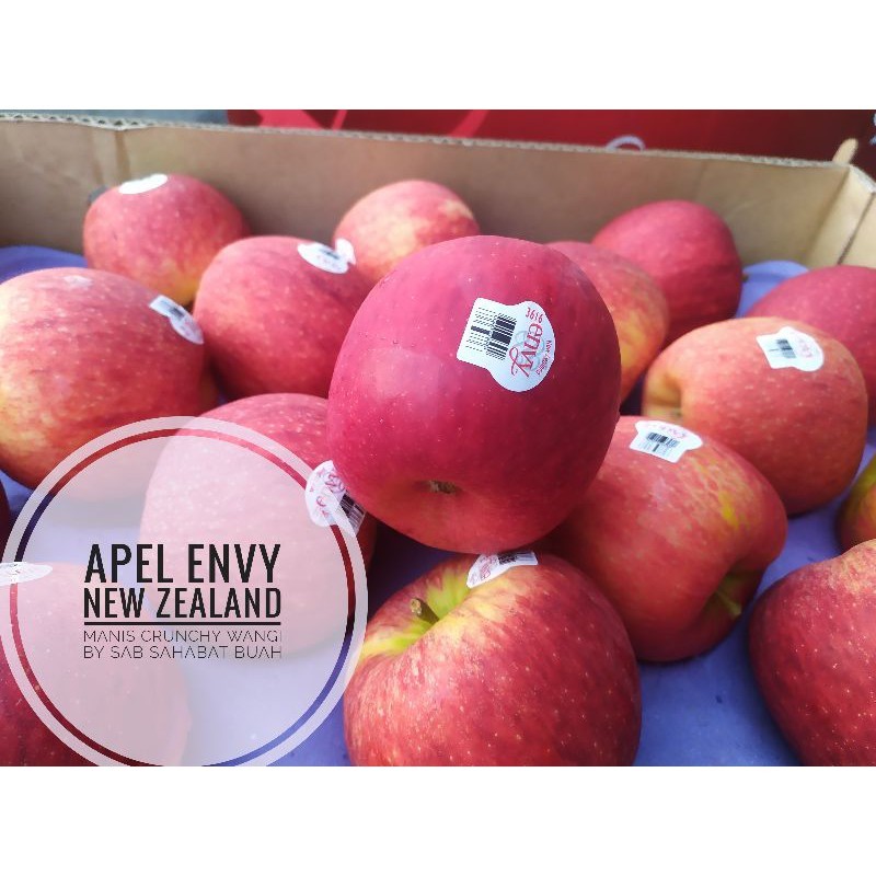 

BUAH APEL ENVY NEW ZEALAND 1 DUS 10KG