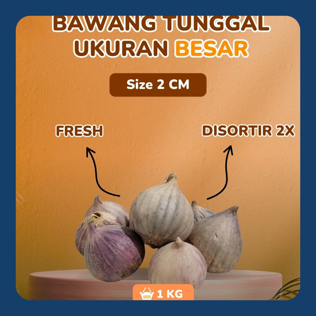

Bawang Putih Tunggal Lanang Besar 1KG Ukuran 2 Cm