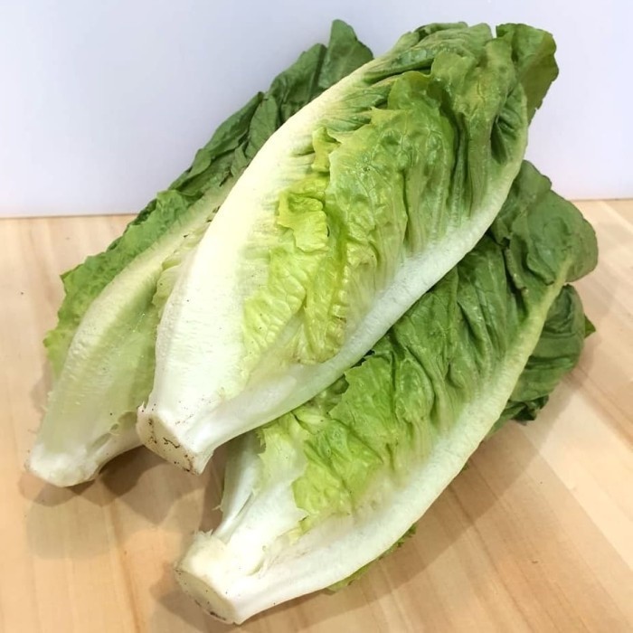 

LETTUCE ROMAINE (pack 250g)