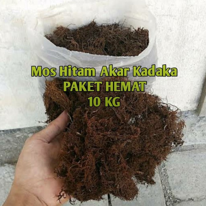(1KG) Mos Hitam Akar Kadaka/Media Tanam Cangkok/Media Tanam Anggrek
