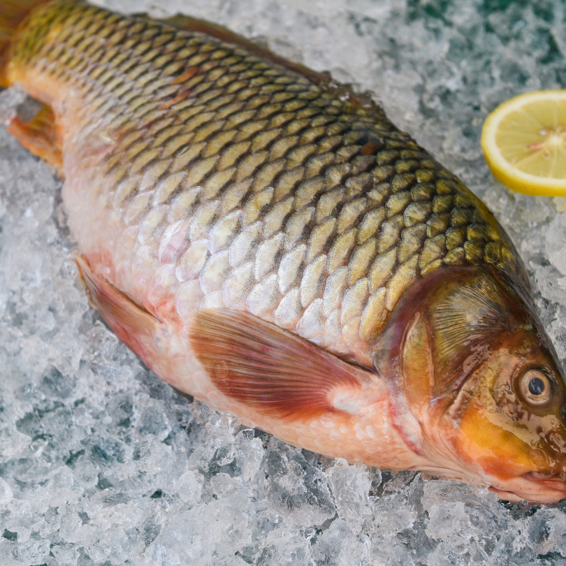 

Ikan Gurame Segar 1kg