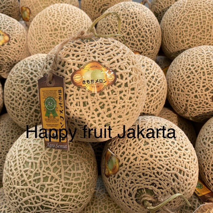 

Melon kimoji sweet | melon kimoji daging lembut manis 1,4 kg