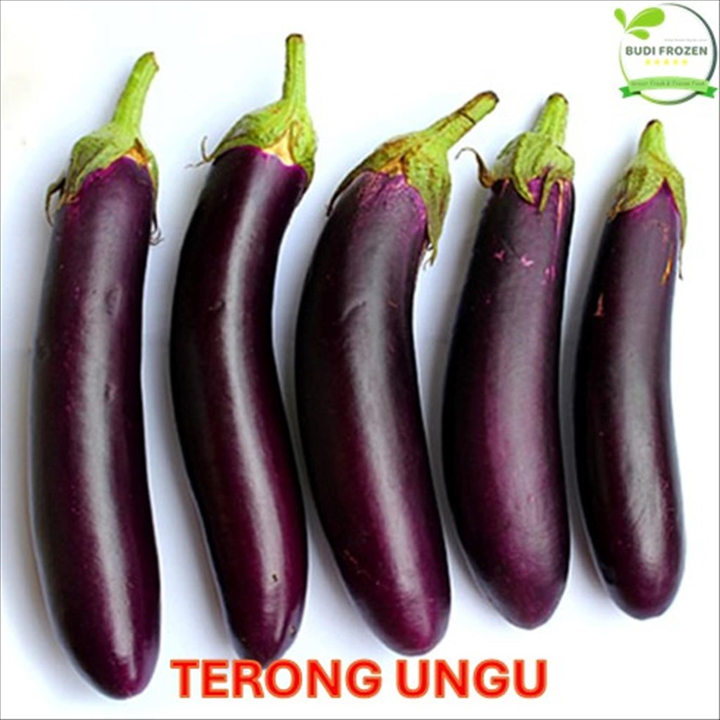 

TERONG UNGU - SAYUR TERONG / TERONG SEGAR / HARGA PASAR (HARGA PER KG)