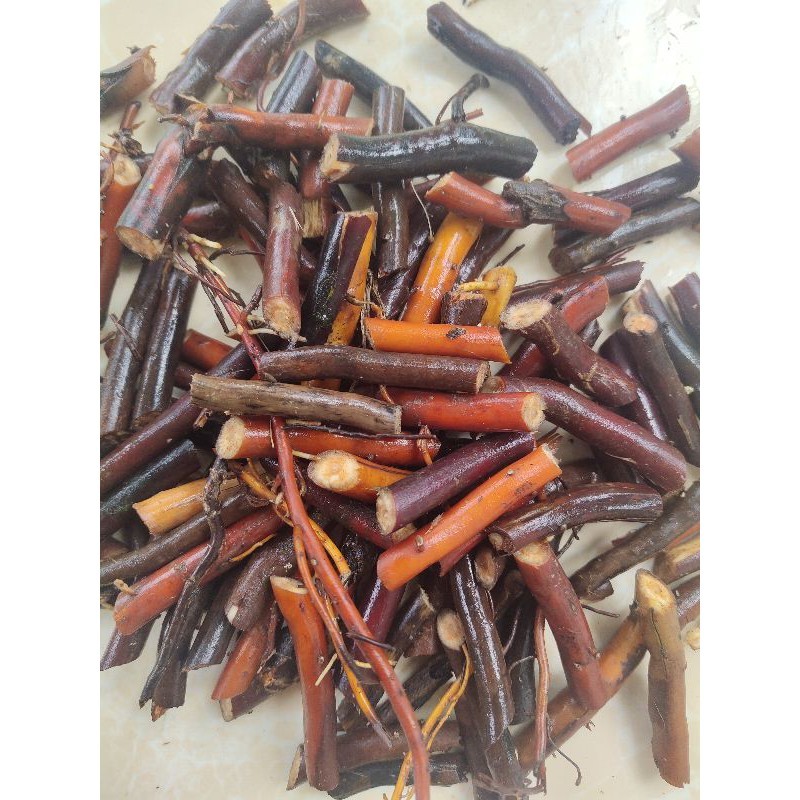 

Akar Kelapa Segar-Akar Pohon Kelapa Organik 1000 Grm