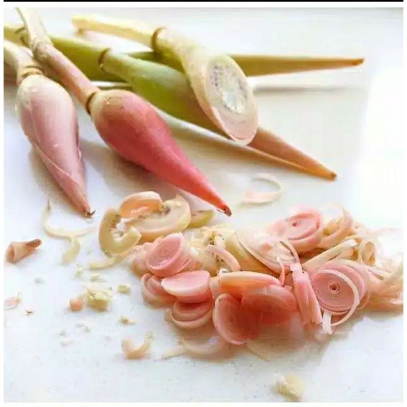 

buah kincung, kecombrang (sambel enak) 500gr
