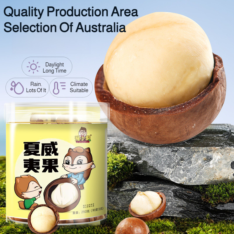 

macadamia nuts new large grains casual canned nuts scented snacks