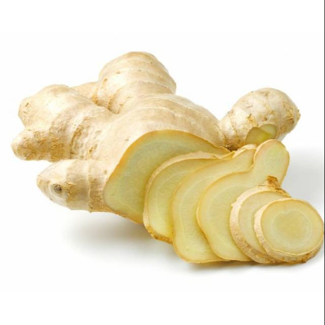 

Termurah Lempuyang basah segar 100gram organik siap ambil ke kebun