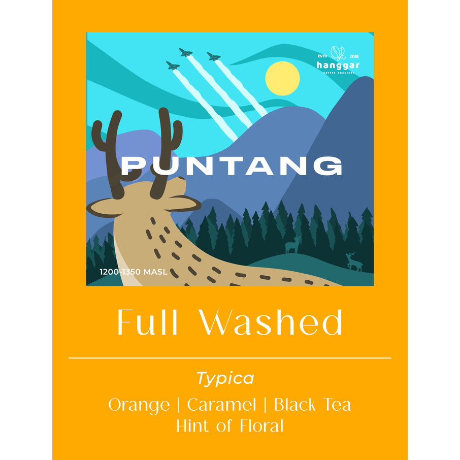 

Puntang Typica Fullwash Roasted Coffee