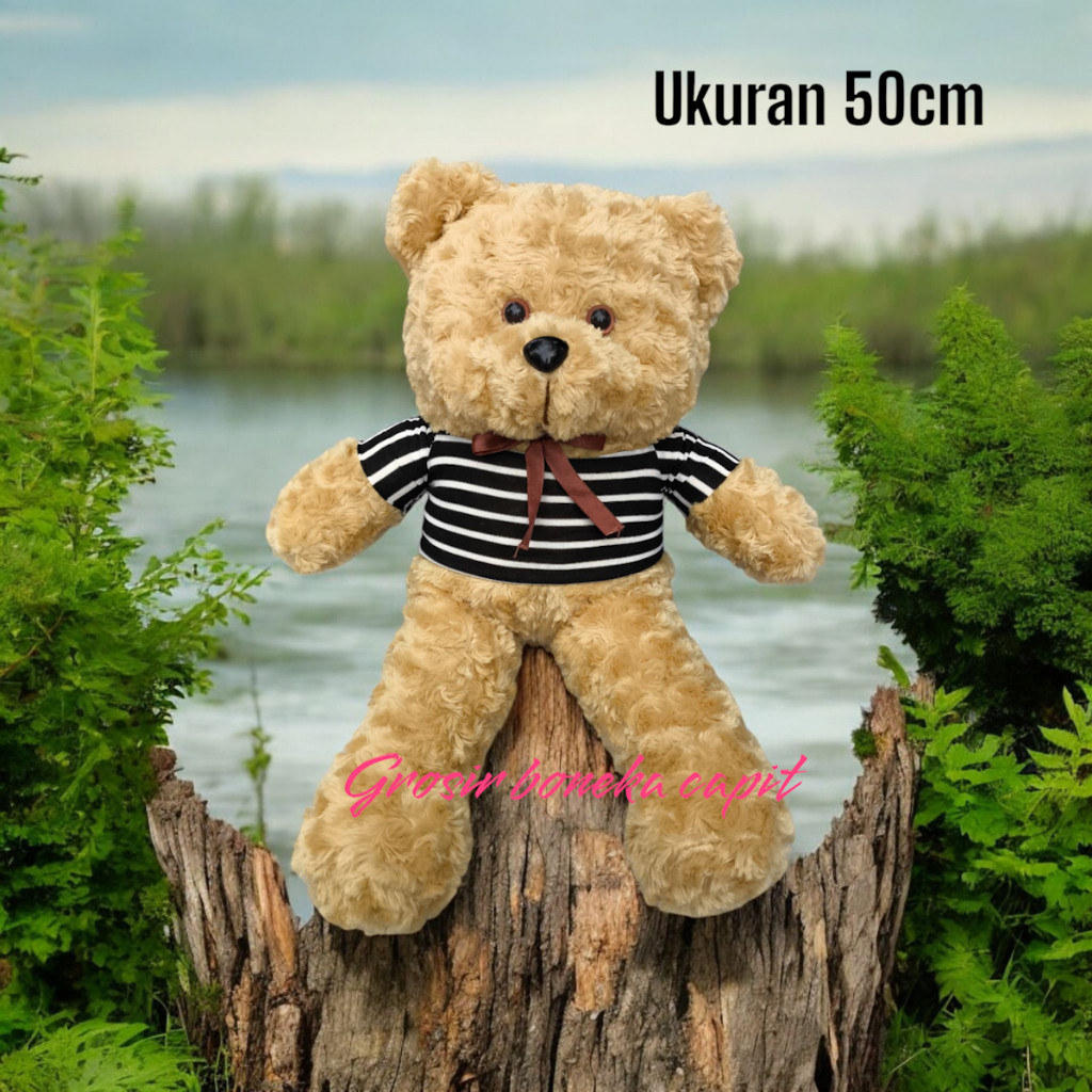 BONEKA BERUANG T-SHIRT  +-50cm/ BONEKA BUKET / BONEKA WISUDA 50 CM