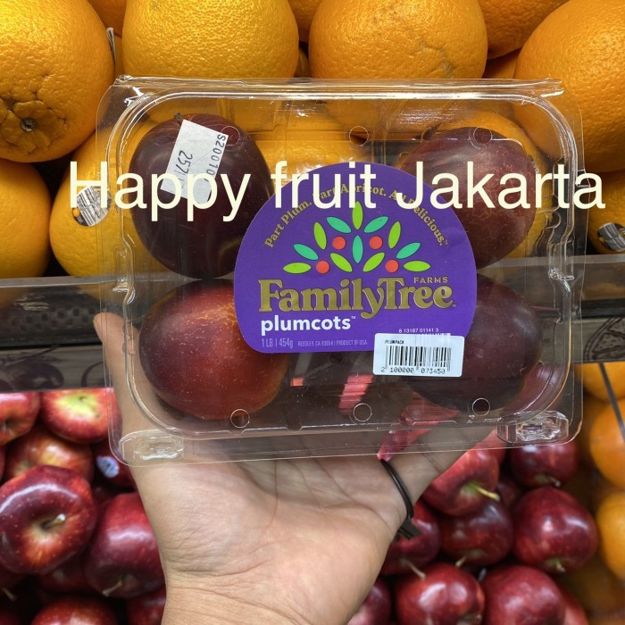 

Plum red sweet family tree | Plum merah usa pack 454grm
