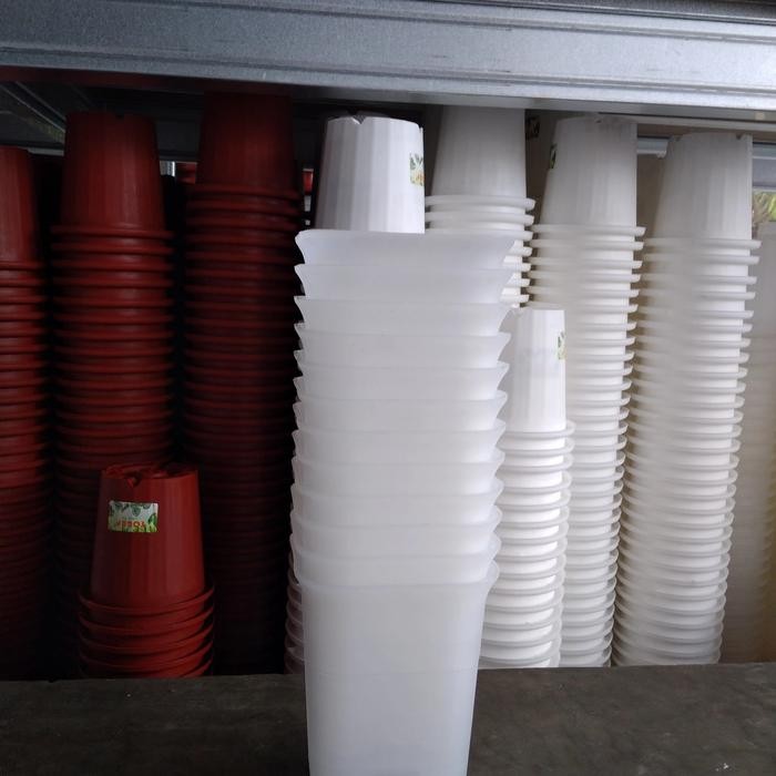 Pot NKT kotak 12 bening /transparan (LOSINAN)