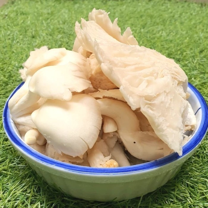 

JAMUR TIRAM (pack 250g)