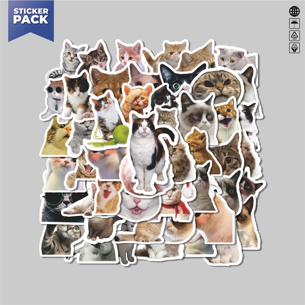 

[100PCS]Stiker Pack Stiker Cat/Kucing Kawaii V5 Aesthetic Vinyl Anti Air Dekorasi Sticker Laptop Buku Journal Koper Helm Casing HP Gitar Helm Skateboard