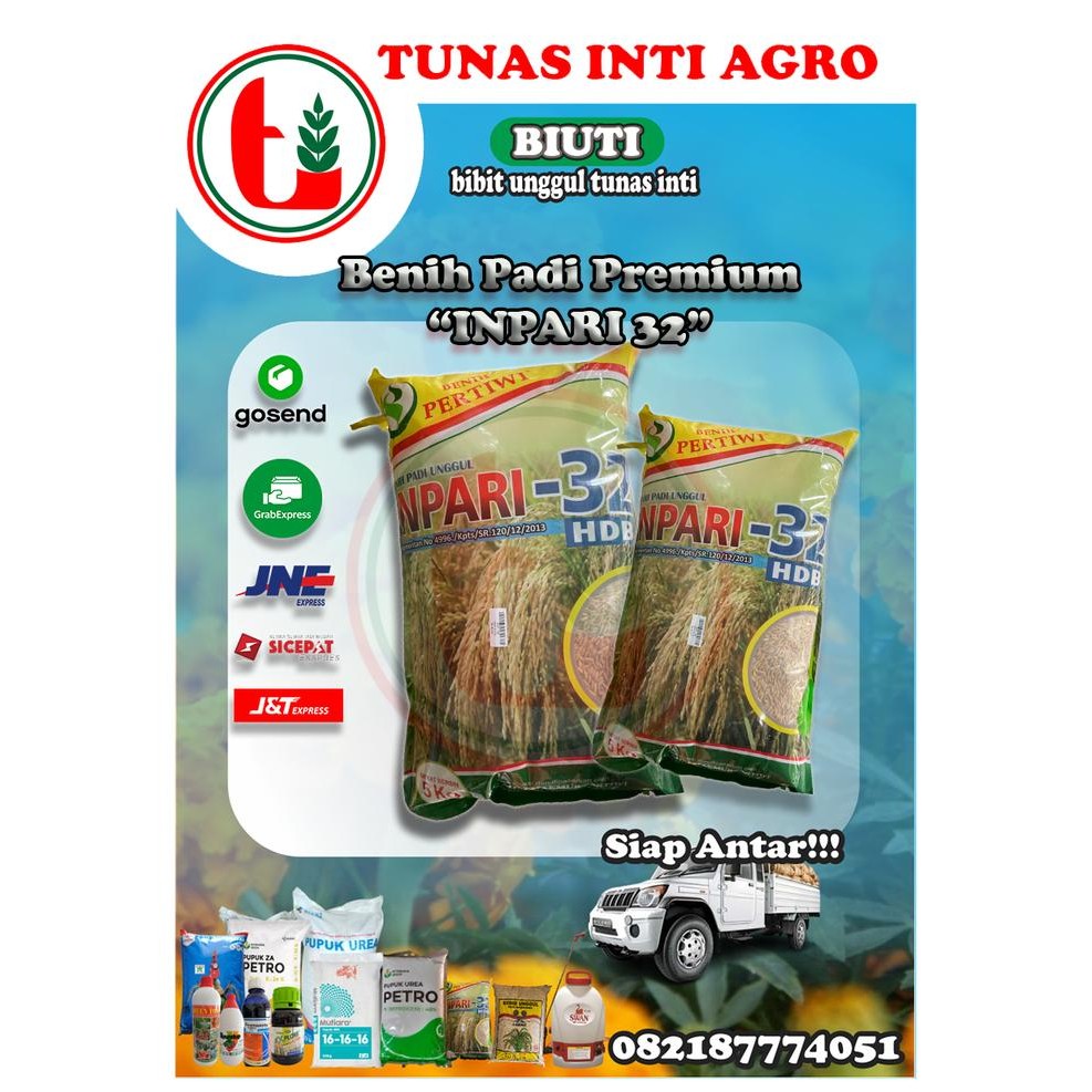 INPARI 32 PERTIWI Premium 5kg/Padi/Benih/Bibit