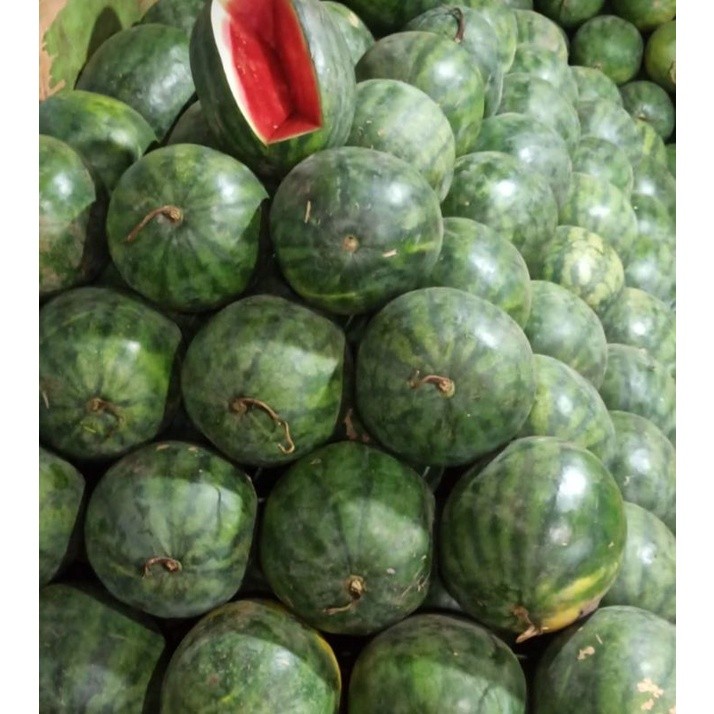 

Semangka Non Biji 1pcs