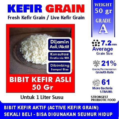 

BIBIT KEFIR ASLI - KEFIR GRAIN 50 gram