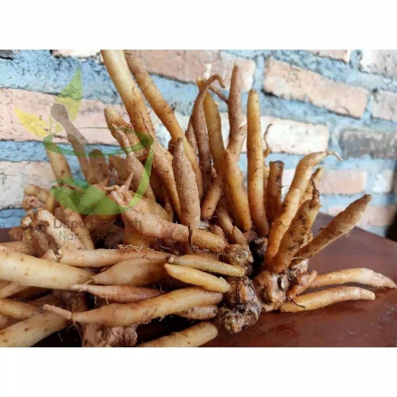 

Promo Temu Kunci / Kunci (Finggerroot) Segar 1 Kg (B_S)
