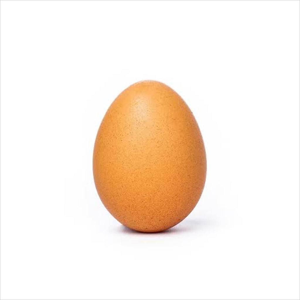 

TELUR AYAM RAS FRESH BARU HARIAN PASAR (1 BUTIR)
