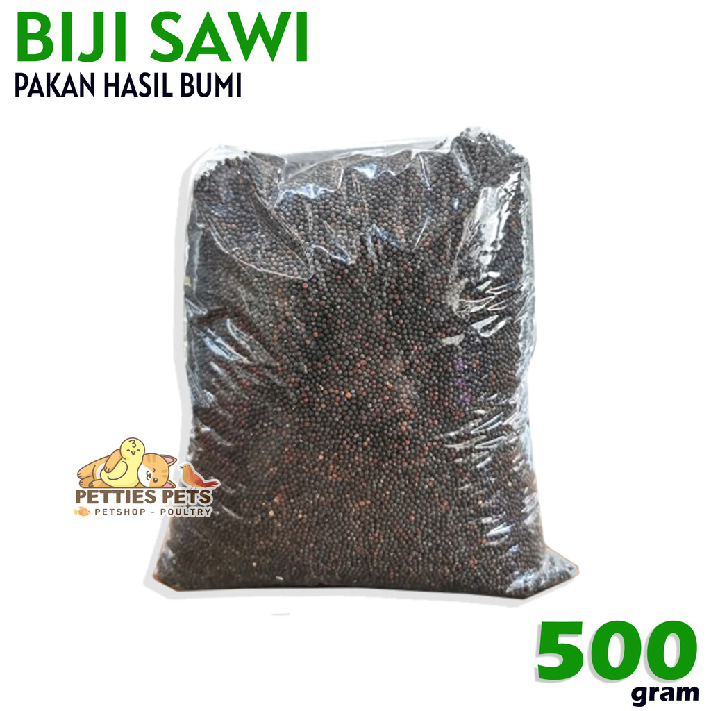 PTS BIJI SAWI UNTUK PAKAN BURUNG BERKICAU KENARI LOVEBIRD KENARI FINCH PAUD