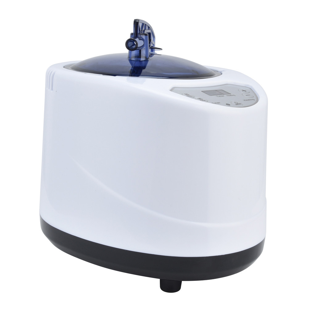 1000W Sauna Steamer Pot Machine Portable Sauna Steam Generator Fumigation Machine for Home Spa