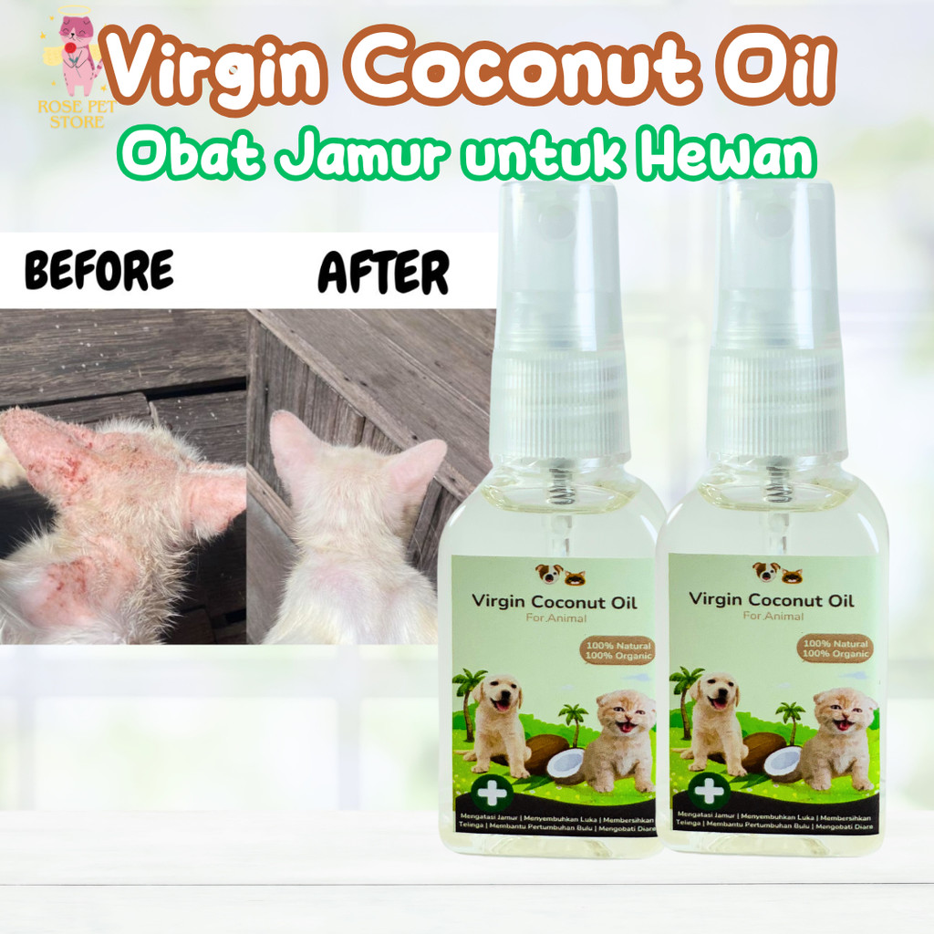 [GROSIR] VCO MURNI 100% 30ML MENGOBATI SCABIES JAMUR PADA KUCING | OBAT JAMUR SCABIES UNTUK KUCING A