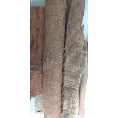 

Kulit Kayu Sintok Asli 1kg