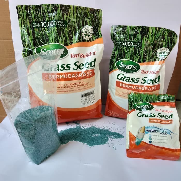Biji Rumput Bermuda Grass merk scotts - Benih rumput grass seed