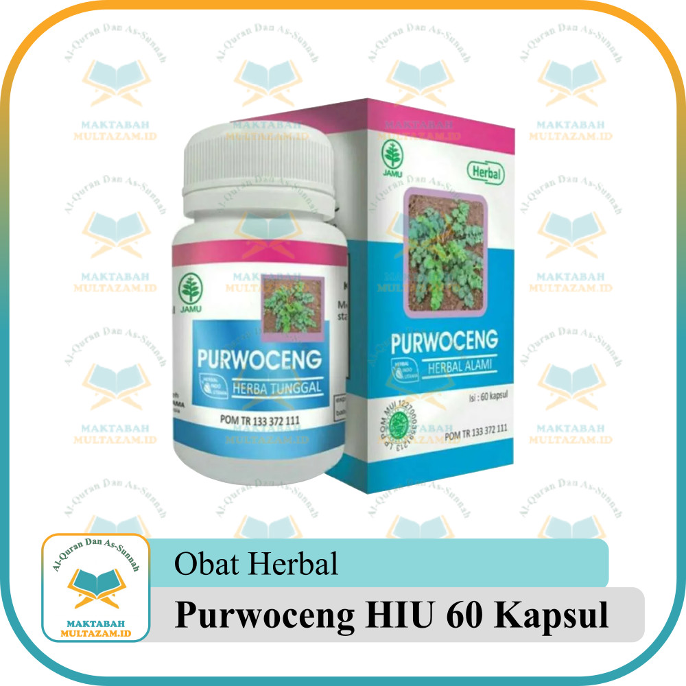 Herbal Purwoceng HIU 60 Kapsul | Memelihara Stamina dan Kesehatan Herbal Indo Utama