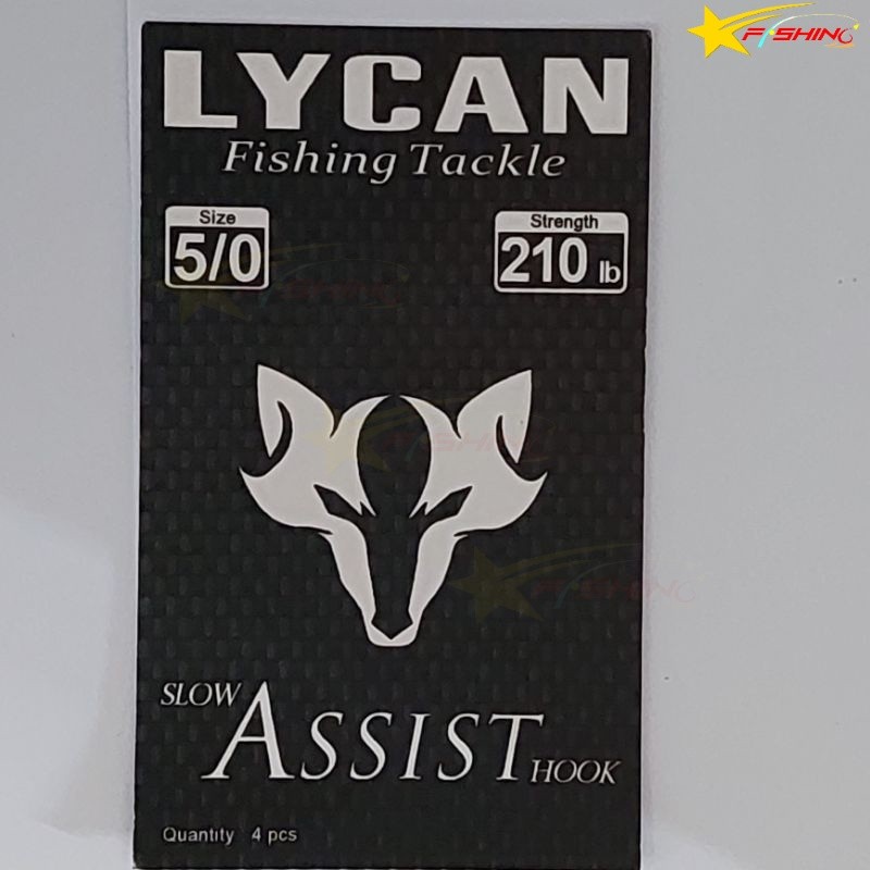 Single Hook Slow Jigging ASSIST Hook Lycan Fishing Tackle