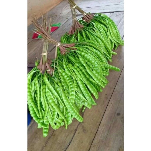 

peuteuy Pete lalap per batang Lestari-Desaku