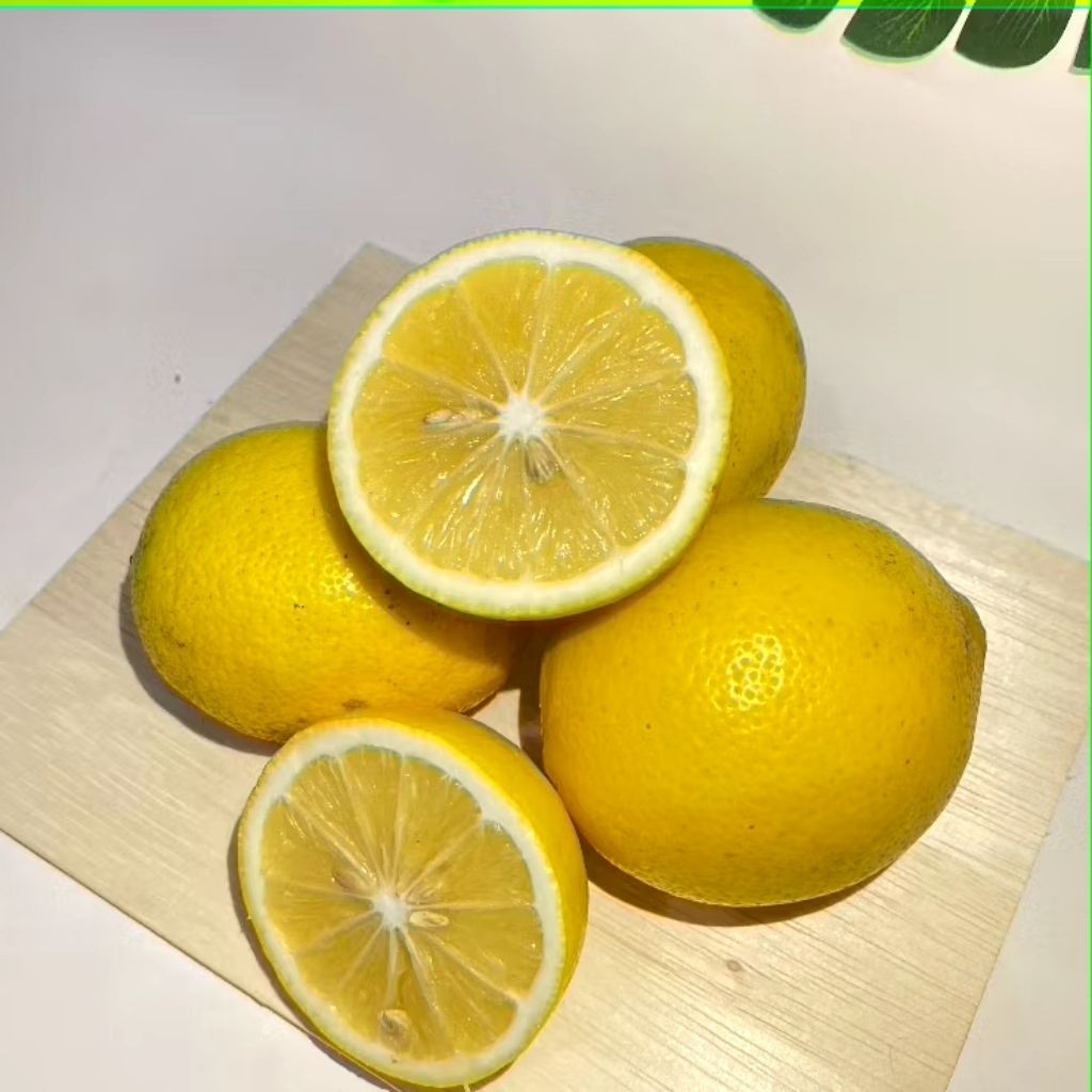 

PROMO jeruk lemon California matang pohon 1kg