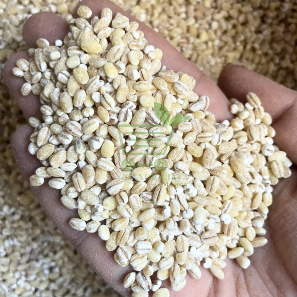 

Biji Jali-Jali Holland Pearl Barley Biji Jali 200gr 500gr 1KG