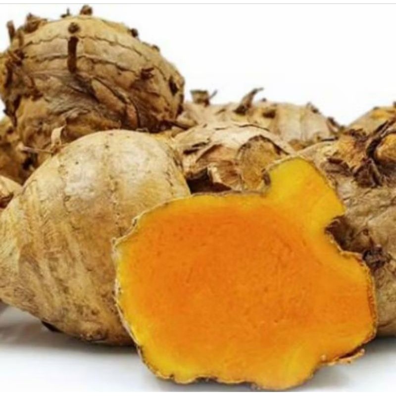 

TEMULAWAK ASLI DARI KEBUN. HERBAL ALAMI 100% PRES 1000 gram