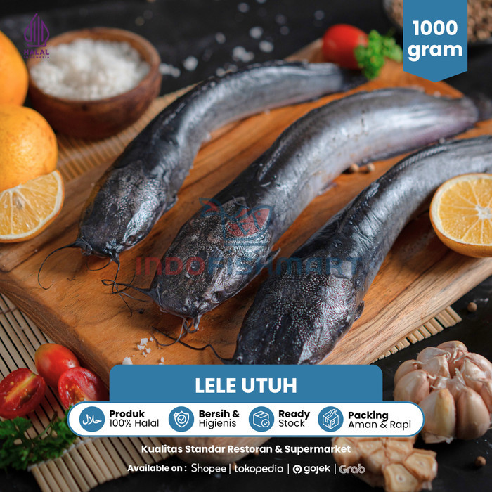

Ikan Lele Utuh/Whole Bersih Beku Frozen - 500 gram