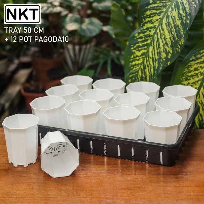 Tray 50 cm + Pot pagoda 10 cm | warna putih