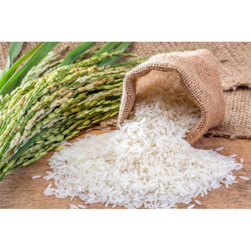

Beras Ketan, Beras Ketan Hitam, Beras Putih, Beras Jagung – Pilihan Beras Berkualitas