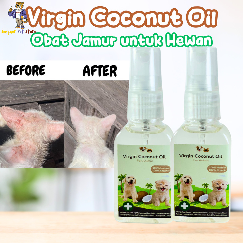 [GROSIR] VCO MURNI 100% 30ML MENGOBATI SCABIES JAMUR PADA KUCING | OBAT JAMUR SCABIES UNTUK KUCING A