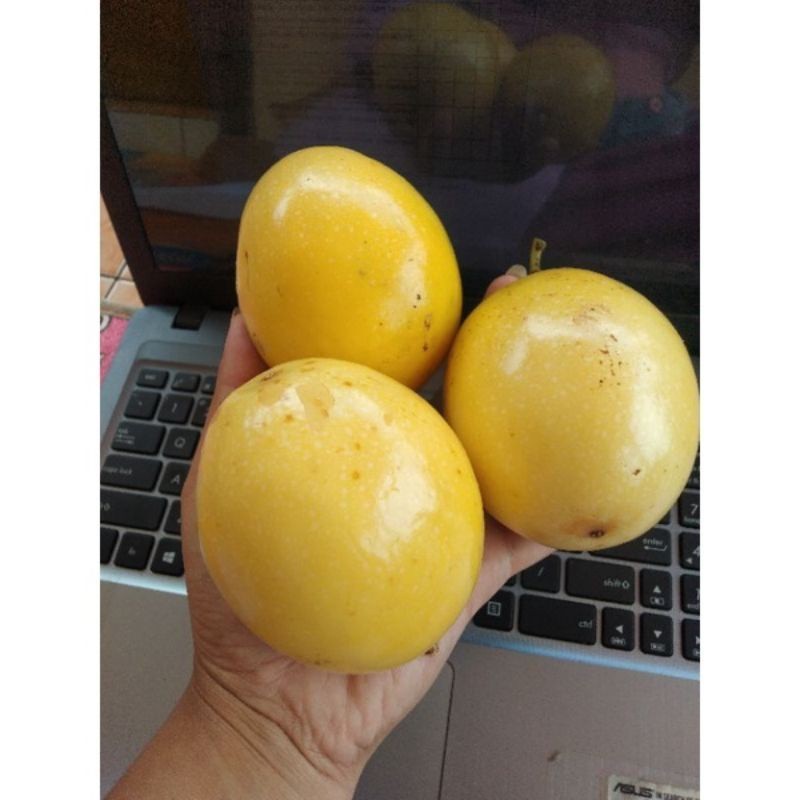 

Buah Markisa Segar Markisa Manis