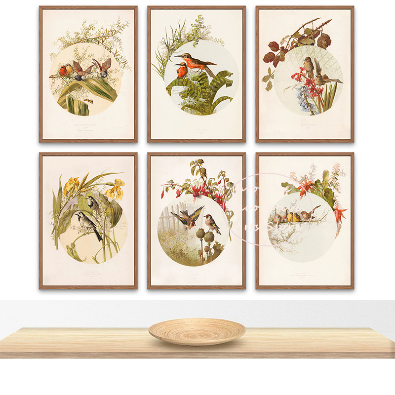 

Vintage Birds Wagtail Birds Goldfinch Bird Poster Hummingbird Bird Flower Tree Canvas Printing Wall Art Pictures Room Home Decor