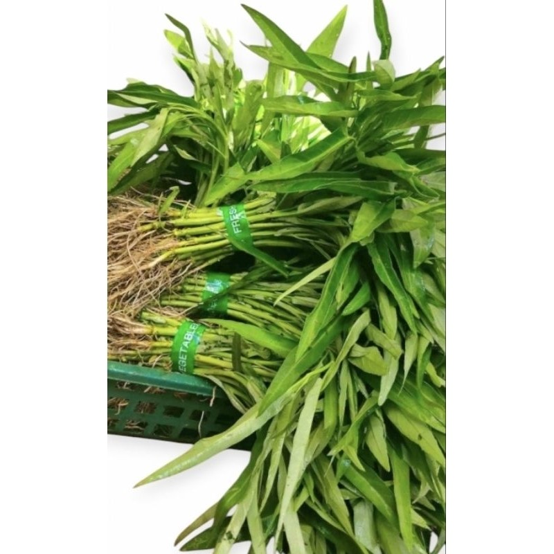 

sayur kangkung